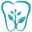 wisedental.ca