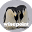 wisepoint.org