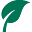 witasek.com