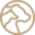 wolfspress.de