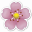 womanclub.in.ua
