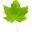 wondrousroots.org
