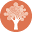 woodlandschurch.net