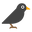 wooya.me