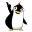 wordchain.co.nz
