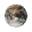 world-of-animals.de