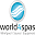 world4spas.com