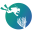worldadventuredivers.com