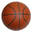 worldofbasketball.org