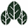 wp-forest.com