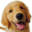 wsgzao.github.io