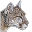 wyldeside.com