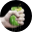 wylsa.com