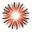 xenonservers.com