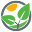 xgmidi.ru