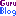 xguru.net