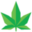 xpressgrass.com