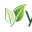 yasamx.com