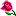 yesnoif.com