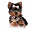 yorkiebabies.com