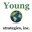 youngstrategies.com