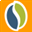 yourplasticsurgeryguide.com