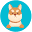 yuanmadog.com