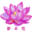 yumenohana.jp