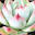 yutta-rich.com