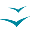 yvma.com