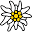 zackzack.at