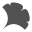 zahidhasan.github.io