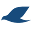 zajel.com
