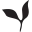 zarqashofficial.com