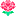 zarum.ru