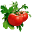 zibakitchen.com