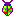 zingerbugimages.com