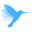zinghr.com