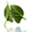 zmeditation.com