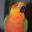 zoologica.wordpress.com