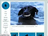 32imuf.com