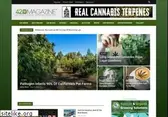 420magazine.com