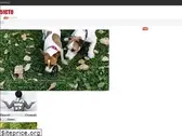 51cto.com