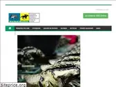 abcpcc.com.br