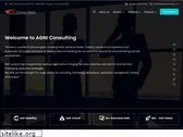 agniconsulting.com