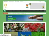 agroinfonet.com