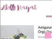 akillihayat.com
