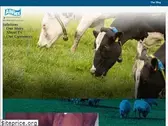 allflex.global