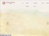 alohiimages.com