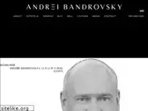 andreirealty.com